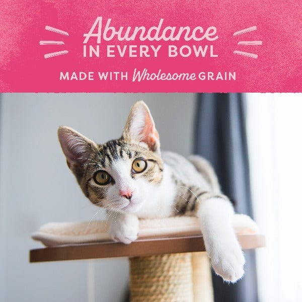 Natural Balance Low - Calorie Chicken & Salmon Meal Dry Cat Food for Fat Cats
