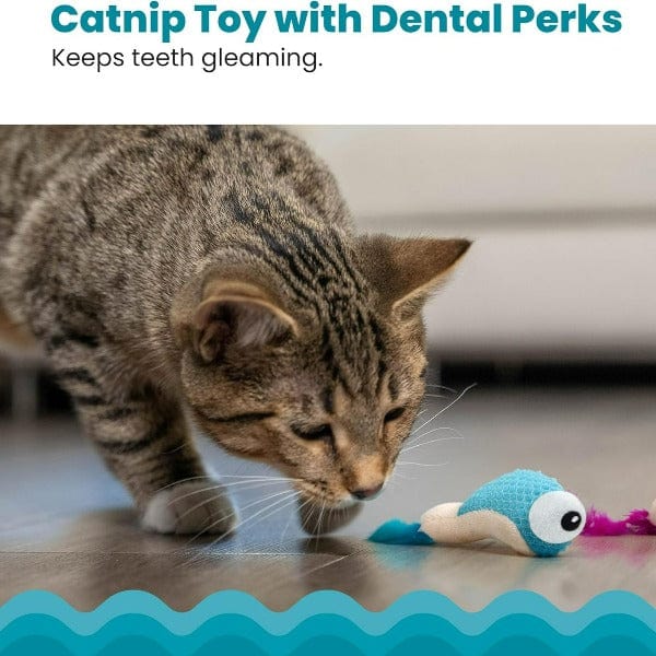 Petstages Catnip-Stuffed Dental Shrimpies Cat Toy for All Ages