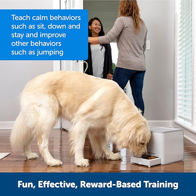 PetSafe Remote Reward Dog Training System - Teach & Treat Trainer