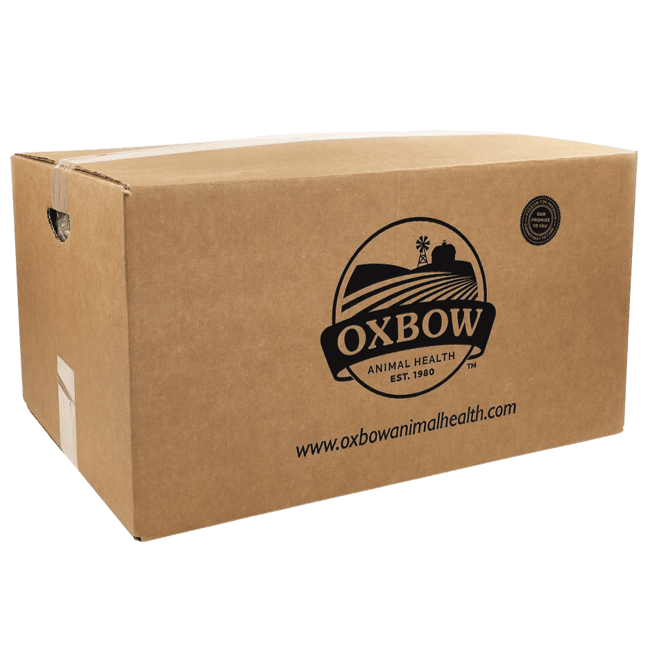 Oxbow Premium Orchard Grass Hay for Small Pets
