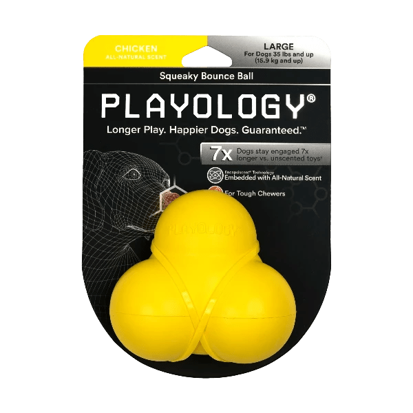 Playology Interactive Squeaky Bouncing Ball for Dogs
