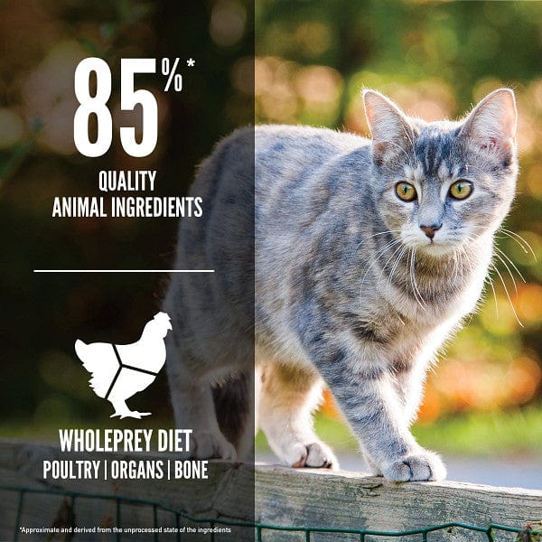 Orijen High - Protein Original Dry Cat Food for Optimal Feline Health