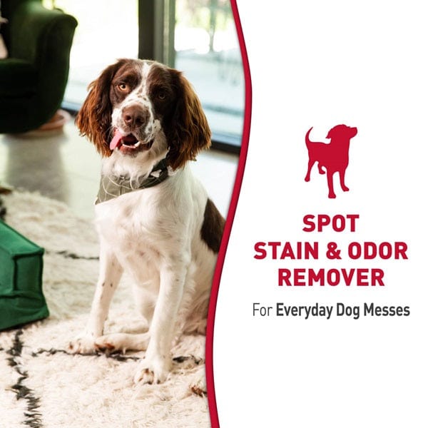 Nature's Miracle Pet Stain and Odor Remover Solution for Dogs