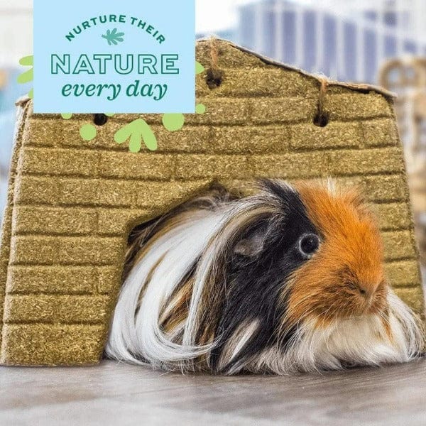 Oxbow Enriched Life - Premium Hay House for Small Pets