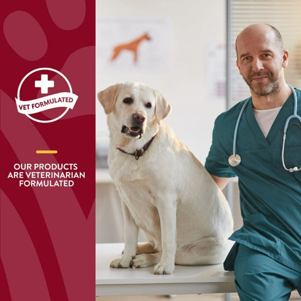 NaturVet Cranberry - Enhanced Soft Chews for Dog Bladder Support
