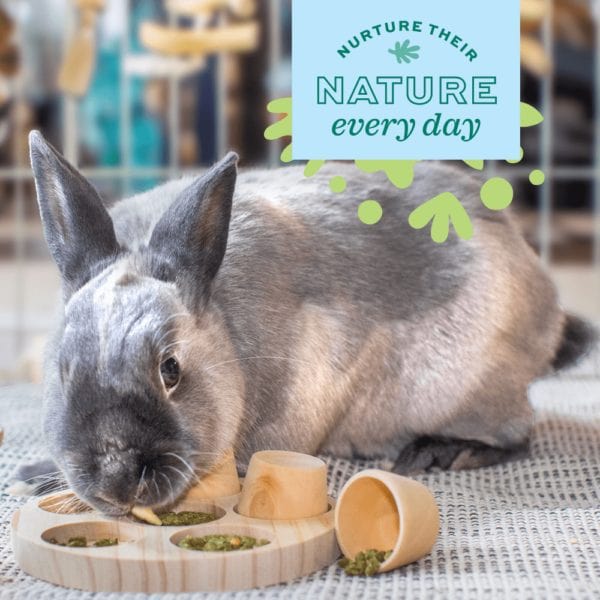 Oxbow Enriched Life Wobbling Food Teaser for Small Pets