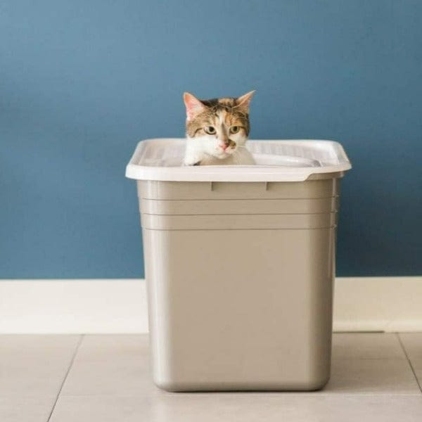 Eco-Friendly Petmate Top-Entry Litter Box with Easy Cleanup