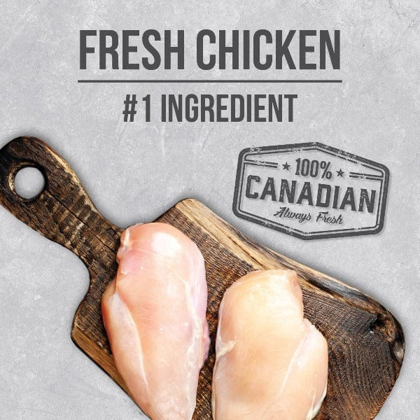 Nutrience Infusion High - Quality Adult Indoor Cat Dry Food with Chicken Recipe
