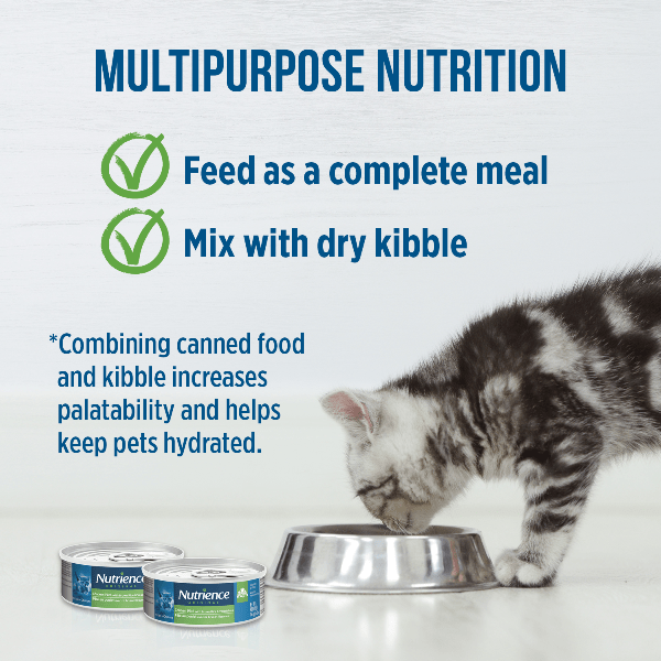 Nutrience Premium Original Canned Chicken Pate Kitten Food for Optimal Growth