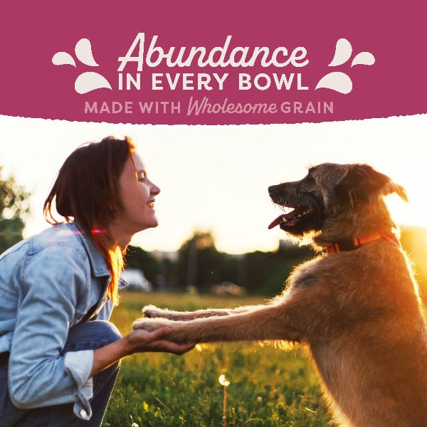 Natural Balance Premium Dry Dog Food Recipe for Fat Dogs