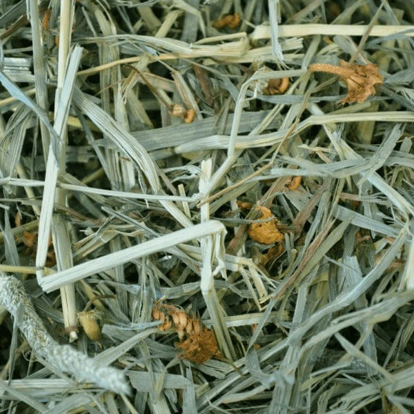 15oz Oxbow Premium Botanical Hay with Irresistible Herbs