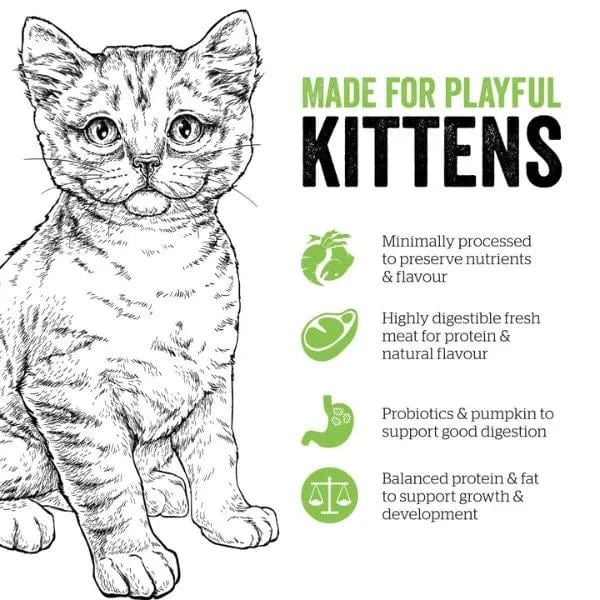Now Fresh Premium Dry Kitten Food with Turkey, Salmon & Duck - 8 Pound Bag