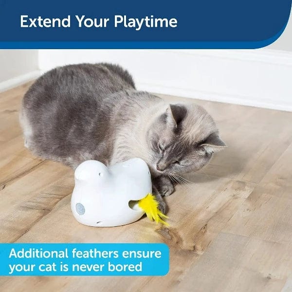PetSafe Replacement Feathers for Peek - A - Bird Electronic Cat Toy, Pack of Four