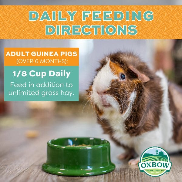 Oxbow Forage Wise Adult Guinea Pig Food - Nutritious Blend for Foraging Instincts
