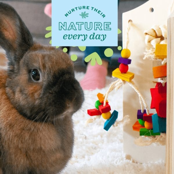Oxbow Enriched Life Deluxe Colorful Hanging Chew Toy for Small Pets