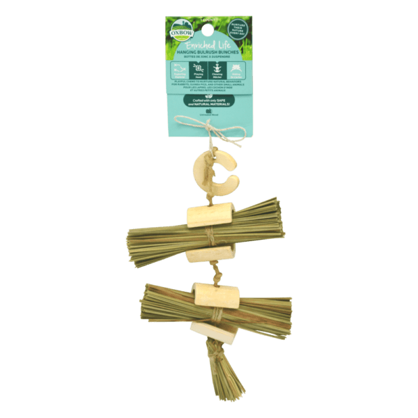 Oxbow Enriched Life - High - Quality Hanging Bulrush Bunches for Pets
