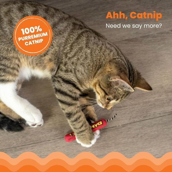 Petstages High - Quality Dynamite - Style Catnip - Filled Cat Toy