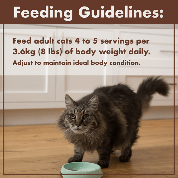 Nutro Adult Perfect Portions Wet Cat Food Pate with Chicken and Liver