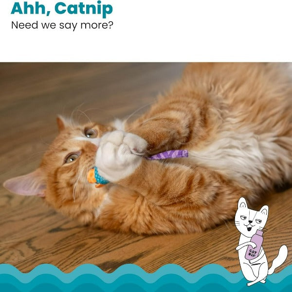 Petstages Interactive Catnip-Stuffed Chew Mice Cat Dental Toy - 2-Pack