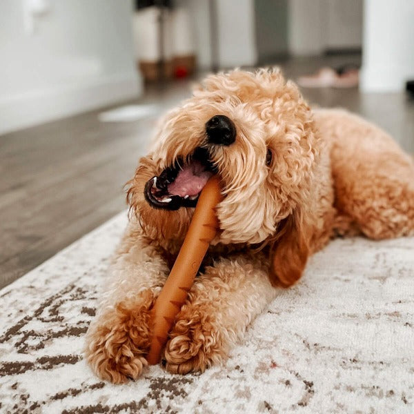 Nylabone Durable Power Chew Baguette-Style Dog Toy with Irresistible Flavor