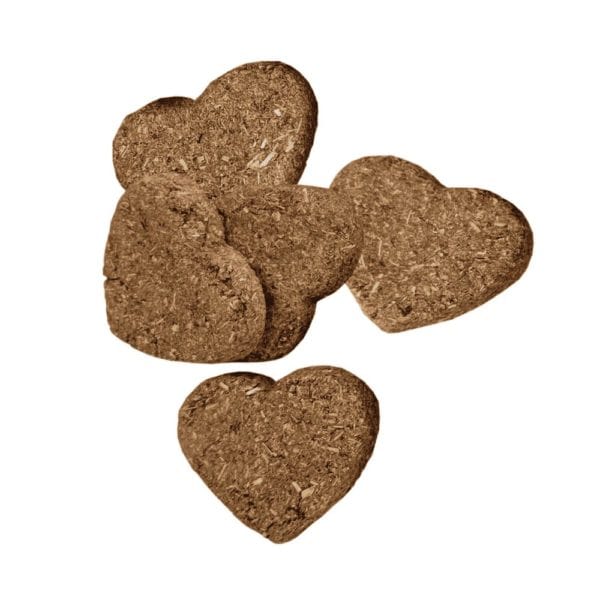 Oxbow Organic Barley Biscuits - Healthy Treats for Small Pets