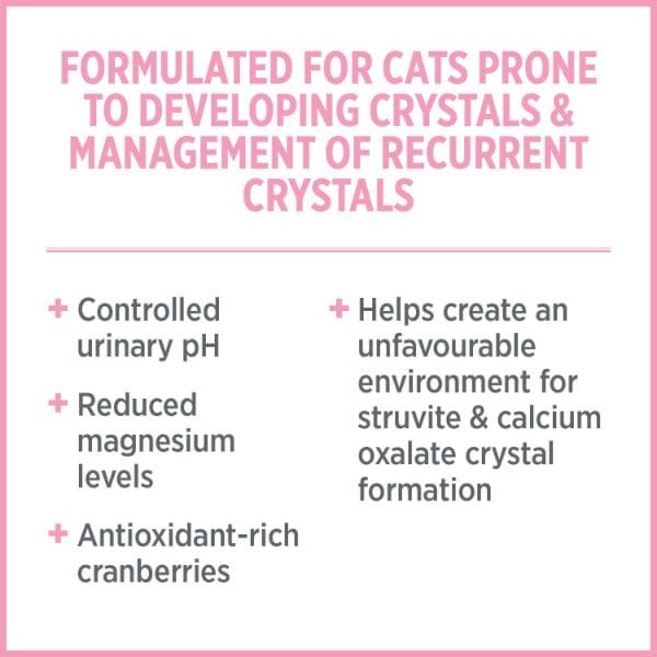 Nutrience Care+ Premium Dry Cat Food for Optimal Urinary Health