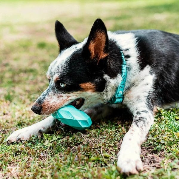 Playology Chew Ring Toy with Channel for Dogs