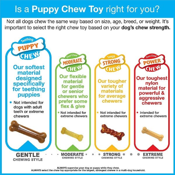 Soft Chicken-Flavored Nylabone Puppy Ring Bone Teething Toy for Small Puppies