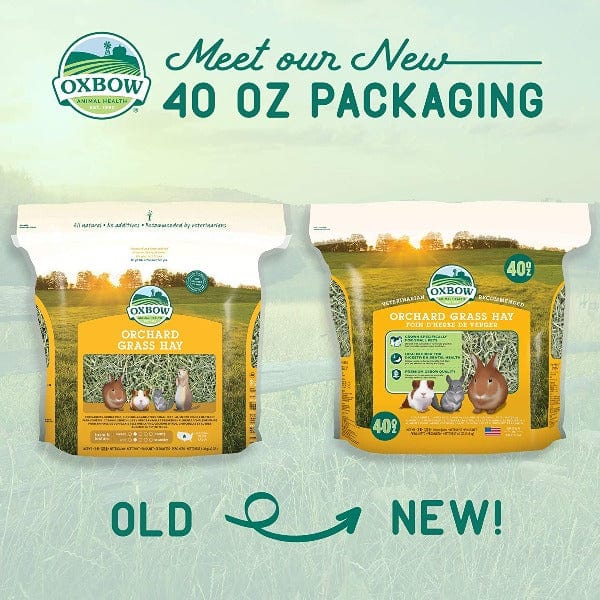 Oxbow Premium Orchard Grass Hay for Small Pets