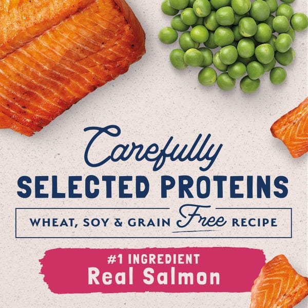 High - Quality Natural Balance Limited Ingredient Grain - Free Dry Cat Food with Salmon and Green Peas for Adult Cats