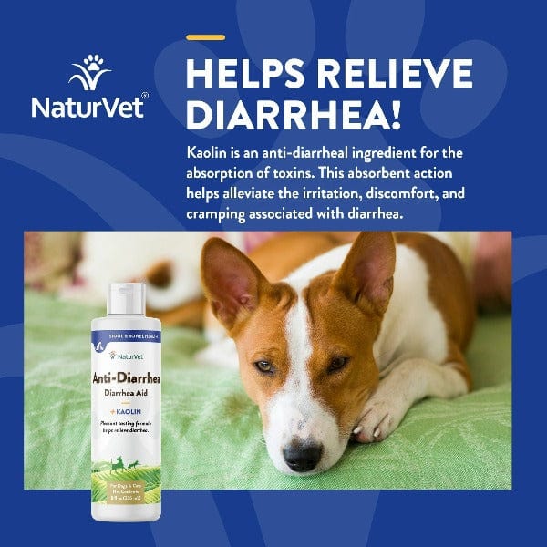 NaturVet Liquid Anti - Diarrhea Solution with Kaolin for Canine and Feline Companions