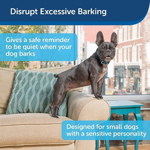 PetSafe Rechargeable Lite Bark Collar for Small Dogs