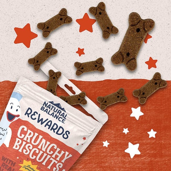 14oz Natural Balance Dog Treats: Crunchy Biscuits with Real Salmon Recipe
