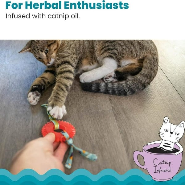 Petstages Interactive Dental Kitty Chew Wheel Cat Toy for Chewing Enthusiast Felines