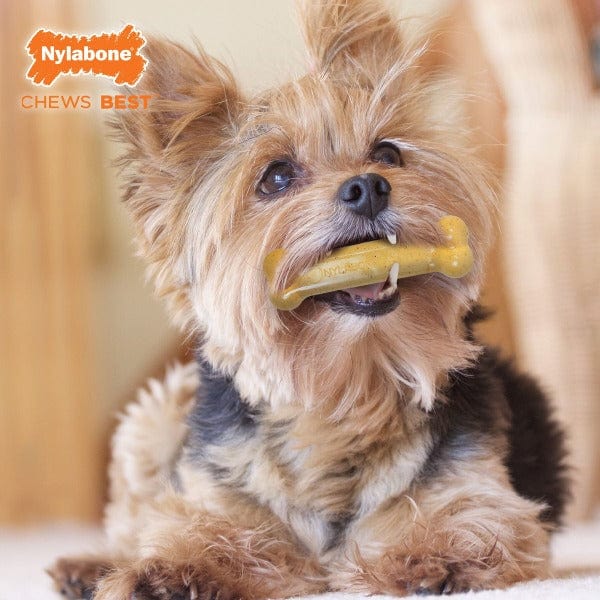 Nylabone FlexiChew Triple Pack: Chicken & Original Flavored Dog Chew Toys