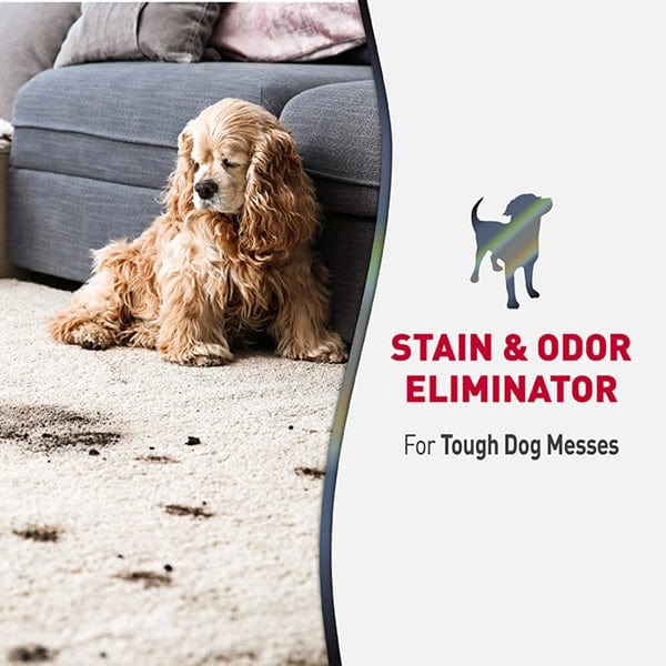 Nature's Miracle Premium Advanced Dog Stain and Odor Eliminating Foam Cleaner