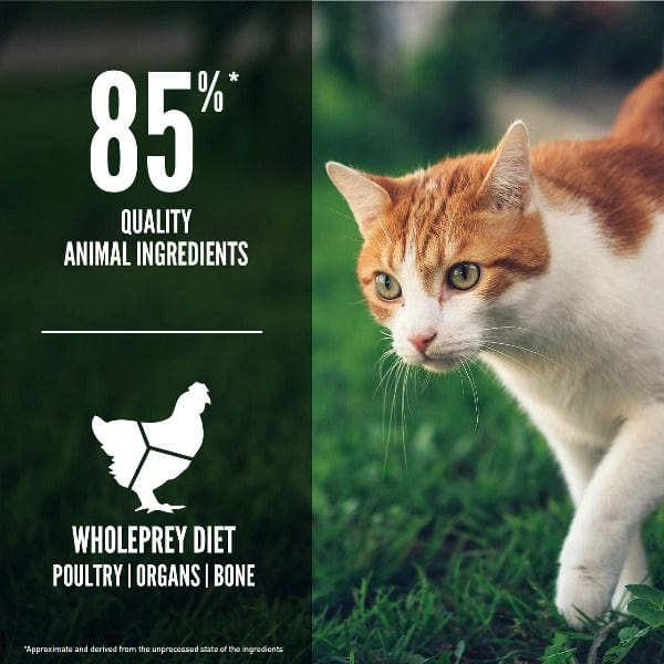 Orijen Premium Fit & Trim Dry Cat Food for Optimal Feline Health