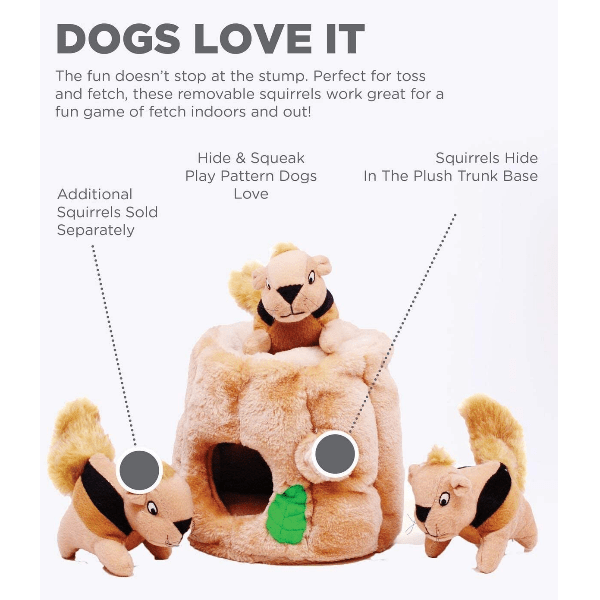 Outward Hound Interactive Plush Dog Toy Puzzle - Hide A Squirrel for Endless Canine Entertainment