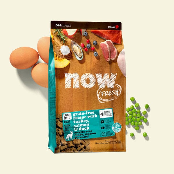 Now Fresh Premium Dry Dog Food for Large Breed Adult Dogs with Turkey, Salmon & Duck Recipe, 25lb Package