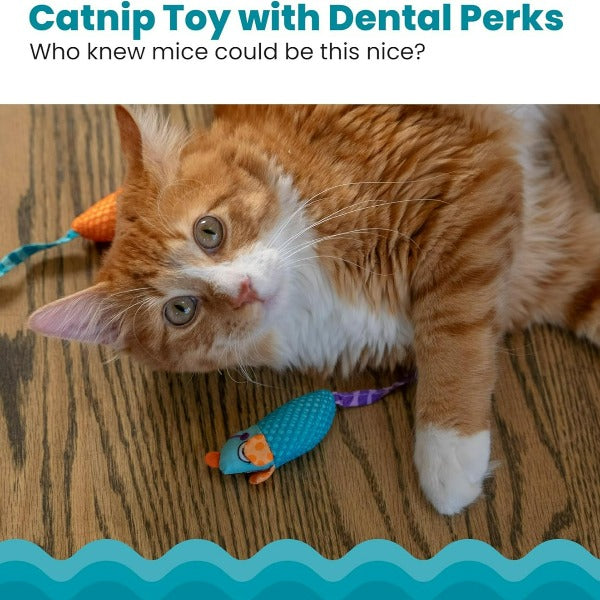 Petstages Interactive Catnip-Stuffed Chew Mice Cat Dental Toy - 2-Pack