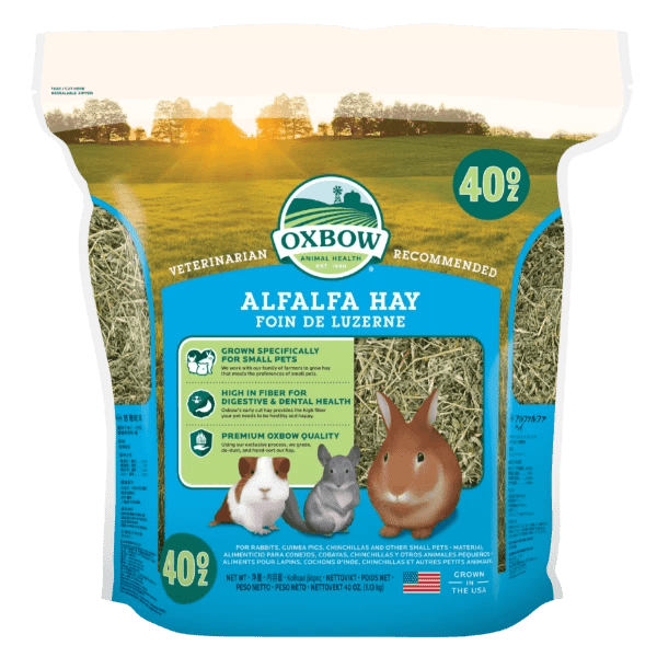 Oxbow Premium Alfalfa Hay for Small Pets, High in Fiber and Protein