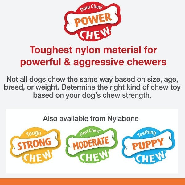 Nylabone Durable Power Chew Ring Dog Toy for Aggressive Chewers