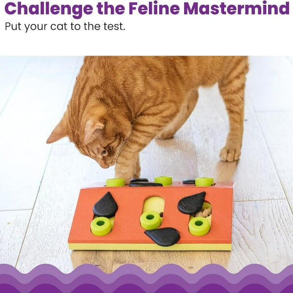 Petstages Nina Ottosson Melon Madness Interactive Puzzle Toy for Cats