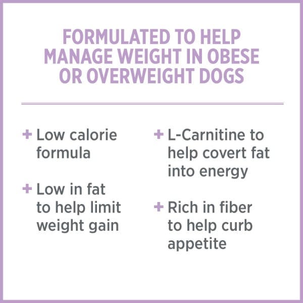 Nutrience Care Plus High - Quality Gluten - Free Dry Dog Food for Weight Management