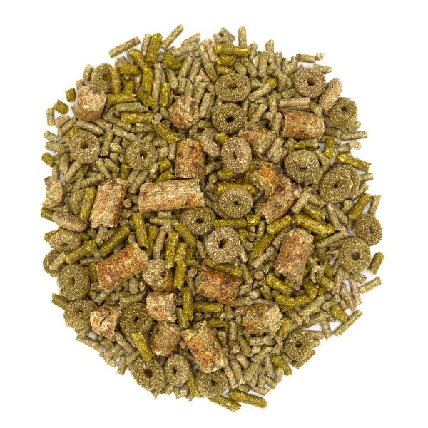 Oxbow Forage Wise Adult Guinea Pig Food - Nutritious Blend for Foraging Instincts