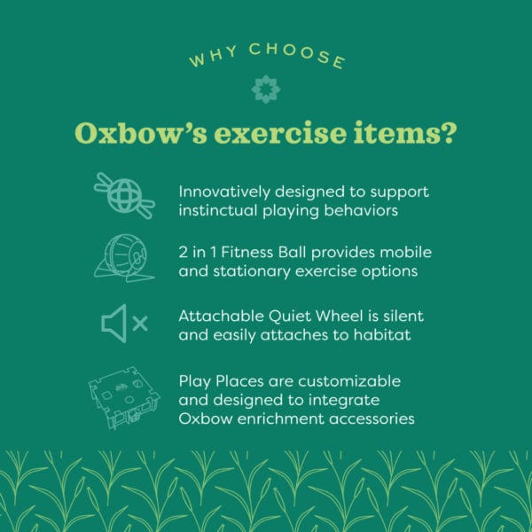 Oxbow Enriched Life 2-in-1 Ultra Quiet Runner for Pets