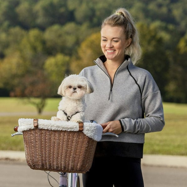 PetSafe Wicker Bicycle Basket for Dogs - The Happy Ride Option