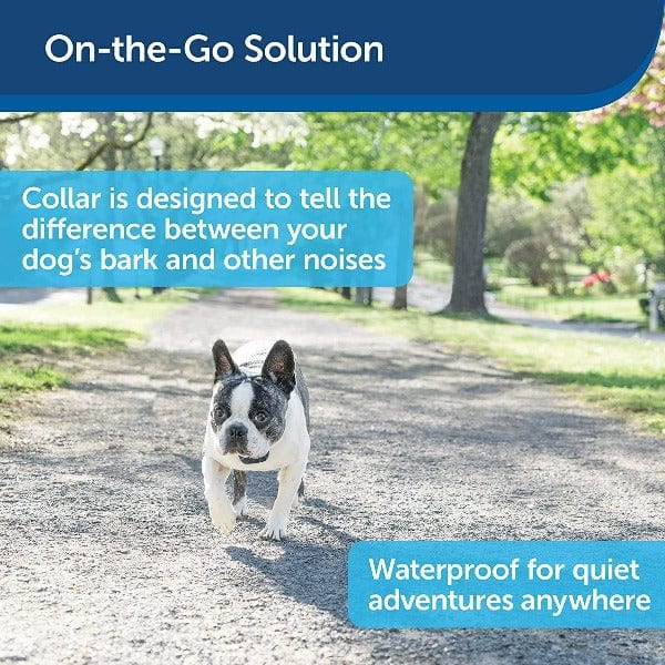PetSafe Rechargeable Lite Bark Collar for Small Dogs