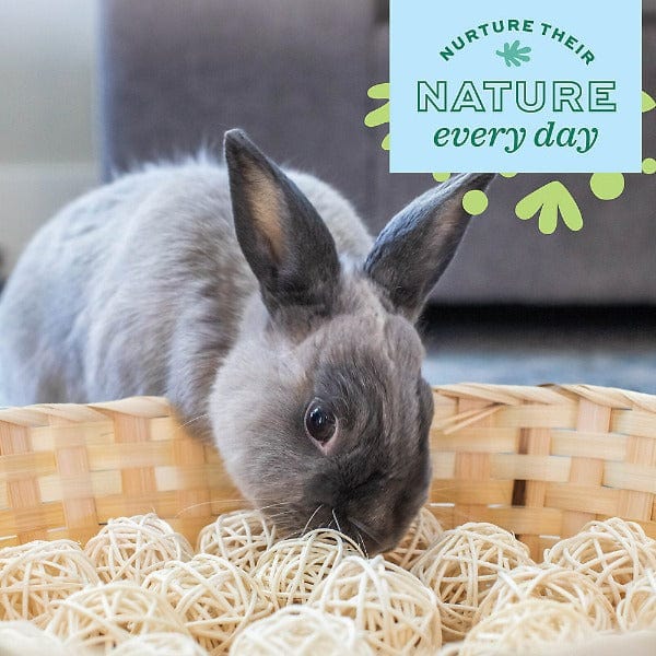 Oxbow Enriched Life Bamboo Ball Pit - Ideal Pet Enrichment Toy