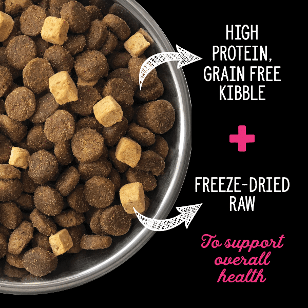 Nutrience SubZero Premium Lamb & Pumpkin Limited Ingredient Dry Dog Food